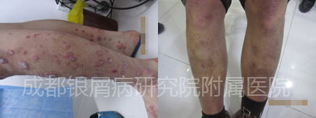 伊林1.jpg